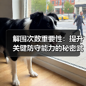 解围次数重要性:提升关键防守能力的秘密武器 解围次数重要性:提升关键防守能力的秘密武器