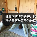 球员伤病报告分析:揭秘运动医学背后的数据秘密 球员伤病报告分析:揭秘运动医学背后的数据秘密