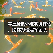 掌握球队体能状况评估,助你打造冠军团队 掌握球队体能状况评估,助你打造冠军团队