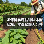 如何科学评估球队体能状况:实战秘籍大公开 如何科学评估球队体能状况:实战秘籍大公开