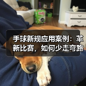 手球新规应用案例:革新比赛,如何少走弯路? 手球新规应用案例:革新比赛,如何少走弯路?