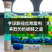 手球新规应用案例：未来趋势的破解之道