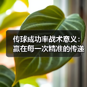 传球成功率战术意义:赢在每一次精准的传递 传球成功率战术意义:赢在每一次精准的传递