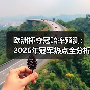 欧洲杯夺冠赔率预测:2026年冠军热点全分析 欧洲杯夺冠赔率预测:2026年冠军热点全分析