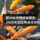 欧洲杯夺冠赔率预测:2026年冠军热点全分析 欧洲杯夺冠赔率预测:2026年冠军热点全分析