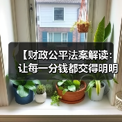 【财政公平法案解读：让每一分钱都交得明明白白】
