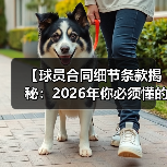 【球员合同细节条款揭秘：2026年你必须懂的关键点】