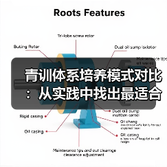 青训体系培养模式对比：从实践中找出最适合未来的路径