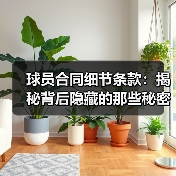 球员合同细节条款：揭秘背后隐藏的那些秘密