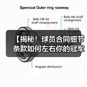 【揭秘!球员合同细节条款如何左右你的冠军梦想】 【揭秘!球员合同细节条款如何左右你的冠军梦想】