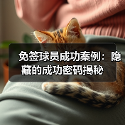 免签球员成功案例:隐藏的成功密码揭秘 免签球员成功案例:隐藏的成功密码揭秘