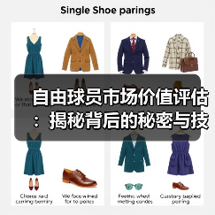 自由球员市场价值评估:揭秘背后的秘密与技巧 自由球员市场价值评估:揭秘背后的秘密与技巧