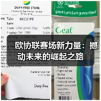 欧协联赛场新力量：撼动未来的崛起之路