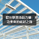欧协联赛场新力量：撼动未来的崛起之路