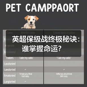 英超保级战终极秘诀:谁掌握命运? 英超保级战终极秘诀:谁掌握命运?