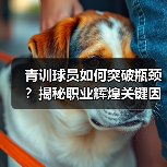 青训球员如何突破瓶颈?揭秘职业辉煌关键因素 青训球员如何突破瓶颈?揭秘职业辉煌关键因素