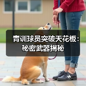 青训球员突破天花板:秘密武器揭秘 青训球员突破天花板:秘密武器揭秘