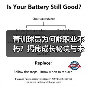 青训球员为何能职业不朽?揭秘成长秘诀与未来趋势 青训球员为何能职业不朽?揭秘成长秘诀与未来趋势