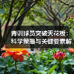 青训球员突破天花板:科学策略与关键要素解析 青训球员突破天花板:科学策略与关键要素解析