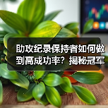 助攻纪录保持者如何做到高成功率？揭秘冠军训练秘诀