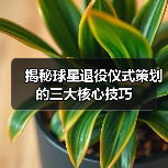 揭秘球星退役仪式策划的三大核心技巧 揭秘球星退役仪式策划的三大核心技巧