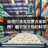 如何打造高效更衣室氛围？细节到全局的科学攻略