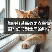 如何打造高效更衣室氛围？细节到全局的科学攻略