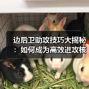 边后卫助攻技巧大揭秘：如何成为高效进攻核心？