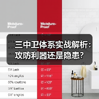 三中卫体系实战解析：攻防利器还是隐患？
