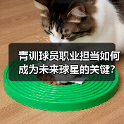 青训球员职业担当如何成为未来球星的关键？
