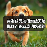 青训球员如何突破天赋瓶颈？职业成功隐藏的关键策略