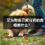 足坛财务丑闻背后的真相是什么? 足坛财务丑闻背后的真相是什么?