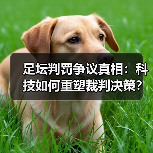 足坛判罚争议真相:科技如何重塑裁判决策? 足坛判罚争议真相:科技如何重塑裁判决策?