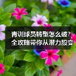 青训球员转型怎么破?全攻略带你从潜力股变职业战将! 青训球员转型怎么破?全攻略带你从潜力股变职业战将!