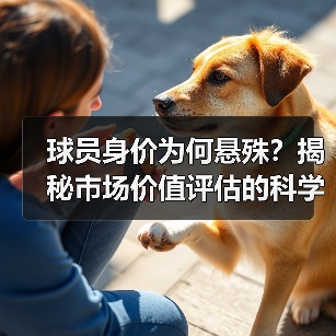 球员身价为何悬殊?揭秘市场价值评估的科学方法 球员身价为何悬殊?揭秘市场价值评估的科学方法