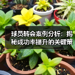 球员转会案例分析：揭秘成功率提升的关键策略