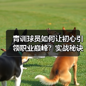青训球员如何让初心引领职业巅峰?实战秘诀揭秘 青训球员如何让初心引领职业巅峰?实战秘诀揭秘