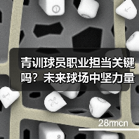 青训球员职业担当关键吗？未来球场中坚力量如何培养