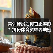 青训球员为何甘愿奉献?揭秘体育英雄养成密码 青训球员为何甘愿奉献?揭秘体育英雄养成密码