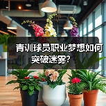青训球员职业梦想如何突破迷雾？