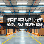 德国杯黑马球队的逆袭秘诀：战术与数据解析