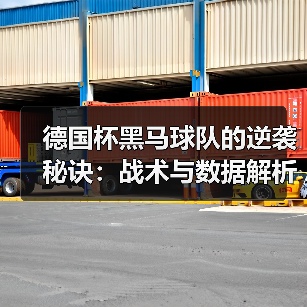 德国杯黑马球队的逆袭秘诀：战术与数据解析