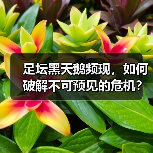 足坛黑天鹅频现,如何破解不可预见的危机? 足坛黑天鹅频现,如何破解不可预见的危机?