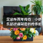 足总杯百年传奇:小俱乐部逆袭背后的传承密码 足总杯百年传奇:小俱乐部逆袭背后的传承密码