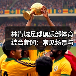 林肯城足球俱乐部体育综合新闻:常见场景与选择要点 林肯城足球俱乐部体育综合新闻:常见场景与选择要点