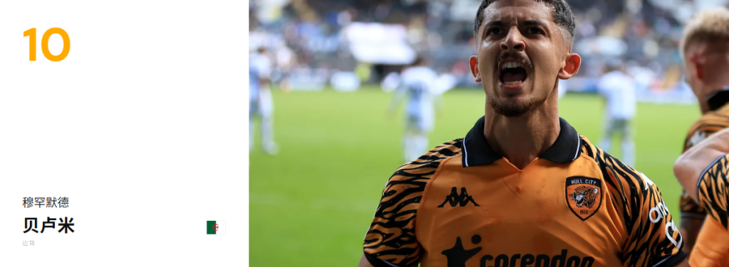 穆罕默德·贝卢米