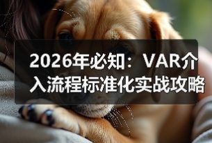 赫尔城