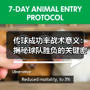 赫尔城