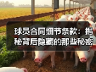 玄熵赫尔城粉丝俱乐部