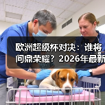 玄熵赫尔城粉丝俱乐部